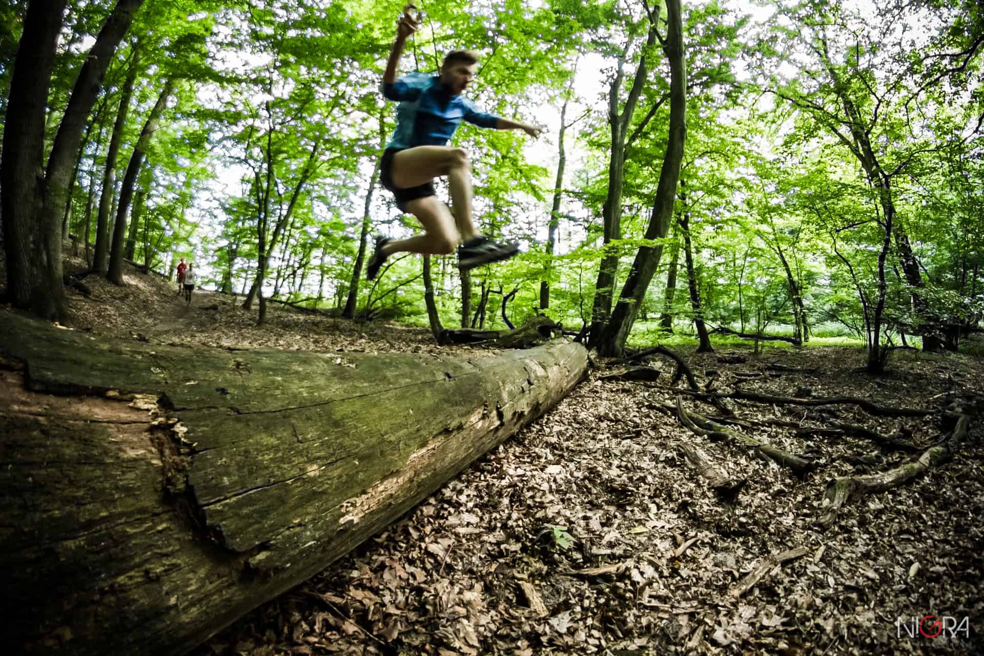ForestRun — 1