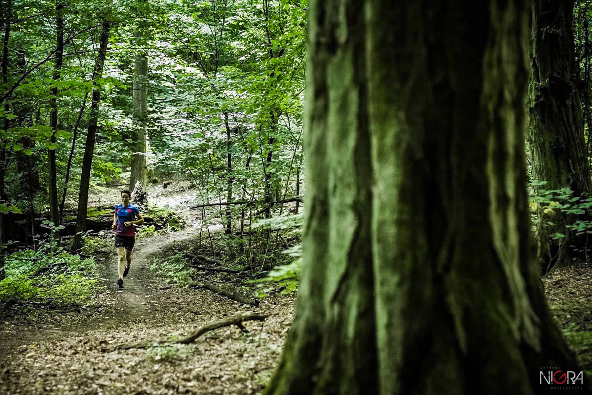 ForestRun — 2
