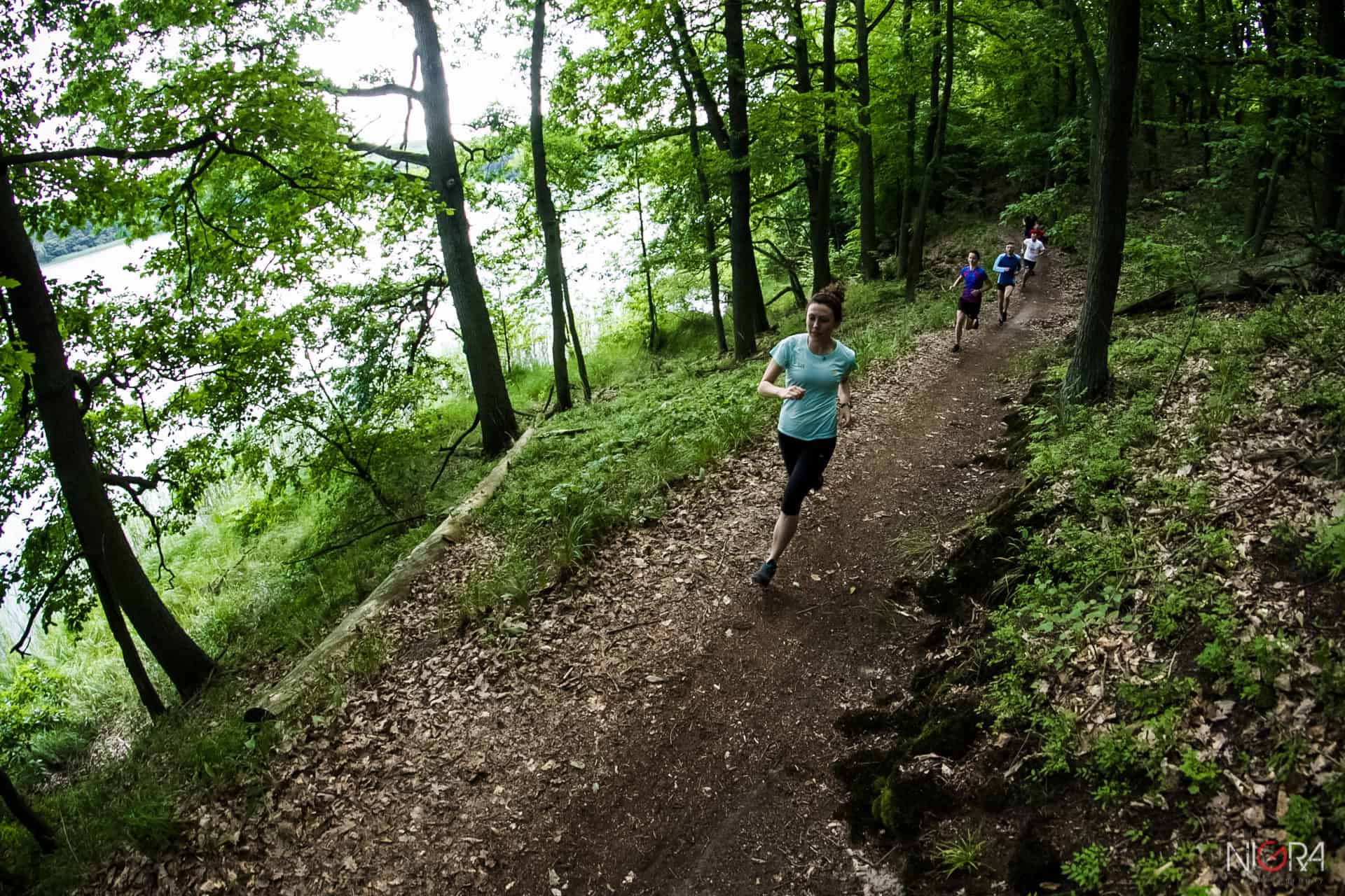 ForestRun — 3